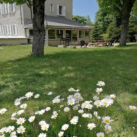 Maison La Vigne - Et D'hotes * Le Chambon-sur-Lignon